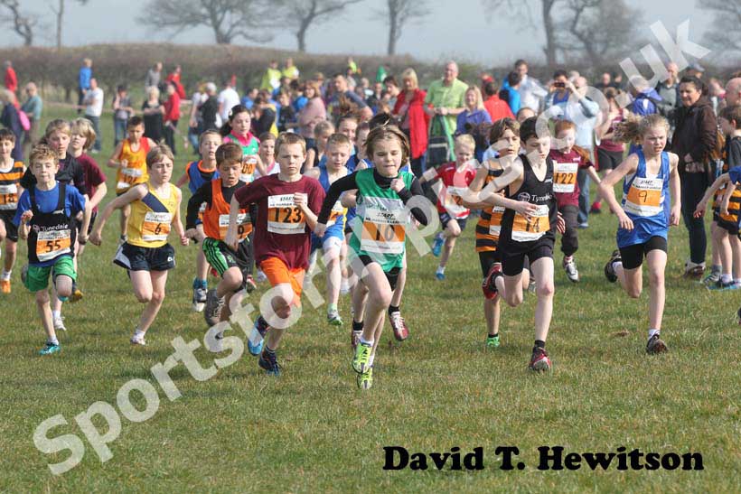 Orange start North East Harrier League, Prudhoe, Northumberland.